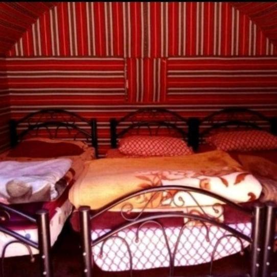 ホテル Bedouin Family Camp ワディ ・ラム エクステリア 写真