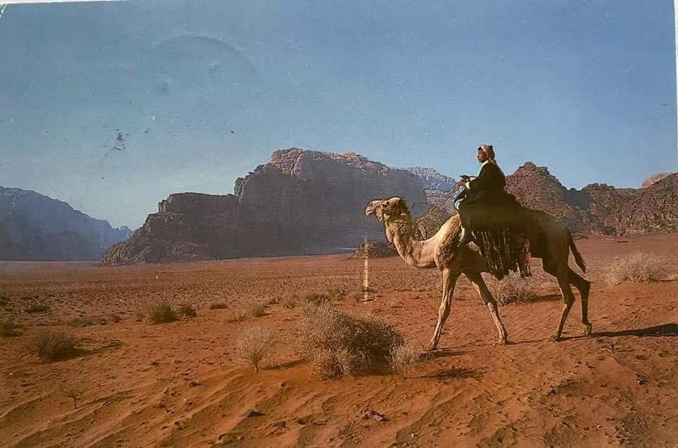 ホテル Bedouin Family Camp ワディ ・ラム エクステリア 写真